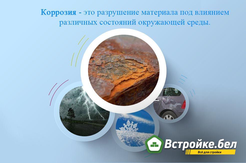 2.jpg?lang=ru